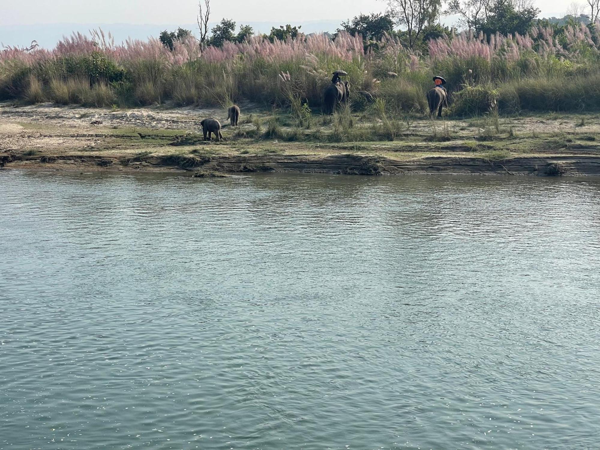 Chitwan Riverside Resort Sauraha Exterior photo