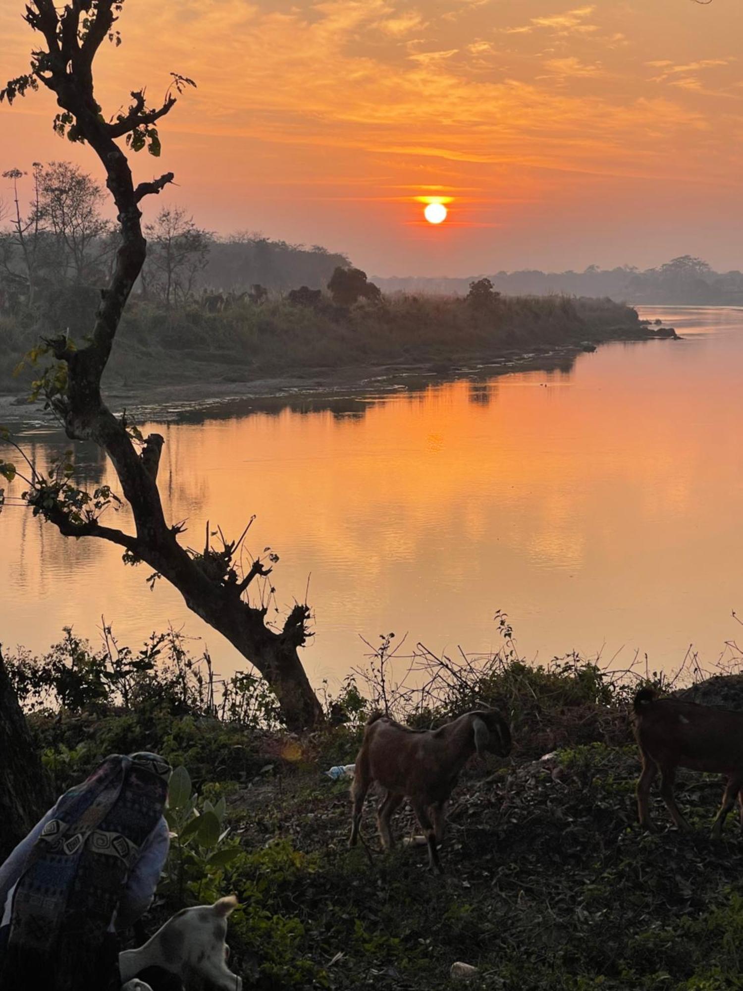 Chitwan Riverside Resort Sauraha Exterior photo