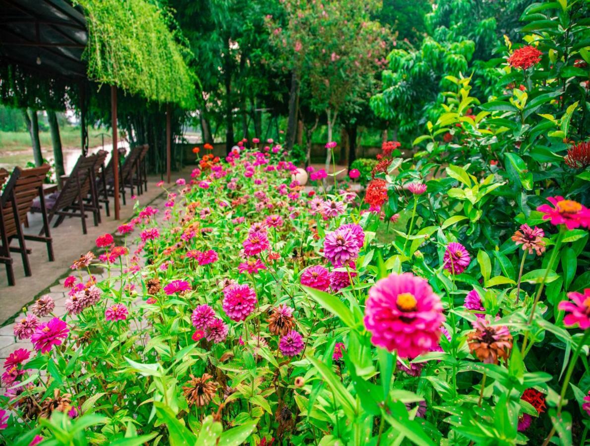 Chitwan Riverside Resort Sauraha Exterior photo
