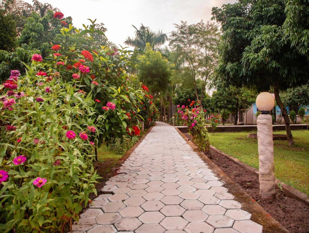 Chitwan Riverside Resort Sauraha Exterior photo